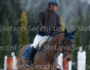 Quality Tosc Tour2013- S5 1844 : Arezzo, Cavalli d'Italia, Quality Up, Toscana Tour 2013, foto di Stefano Secchi ©